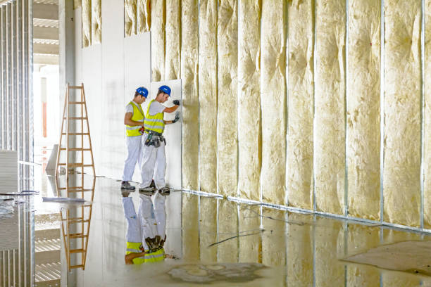 Best Insulation Materials and Products in Wallace, ID
